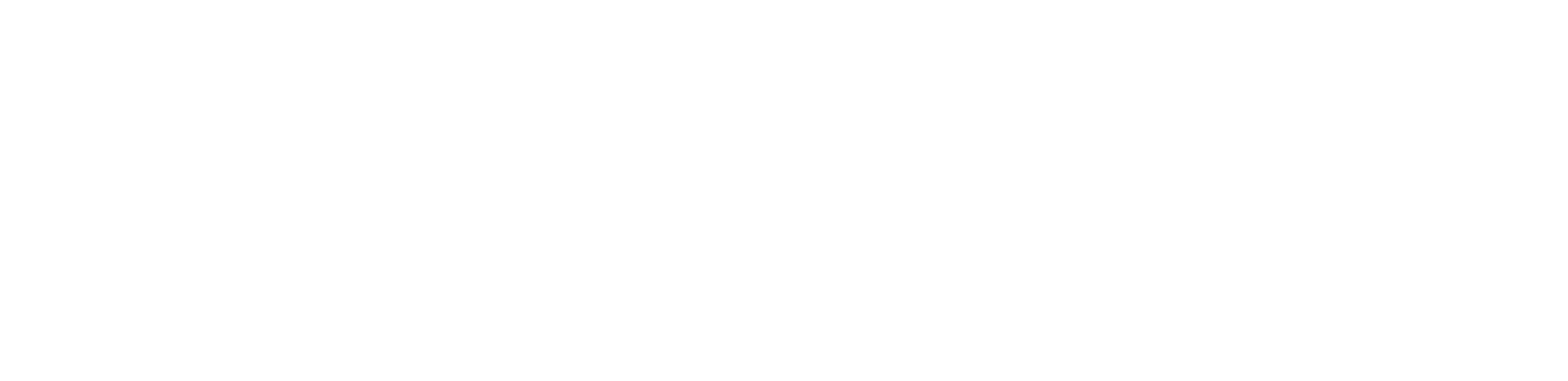 Stormi Capital